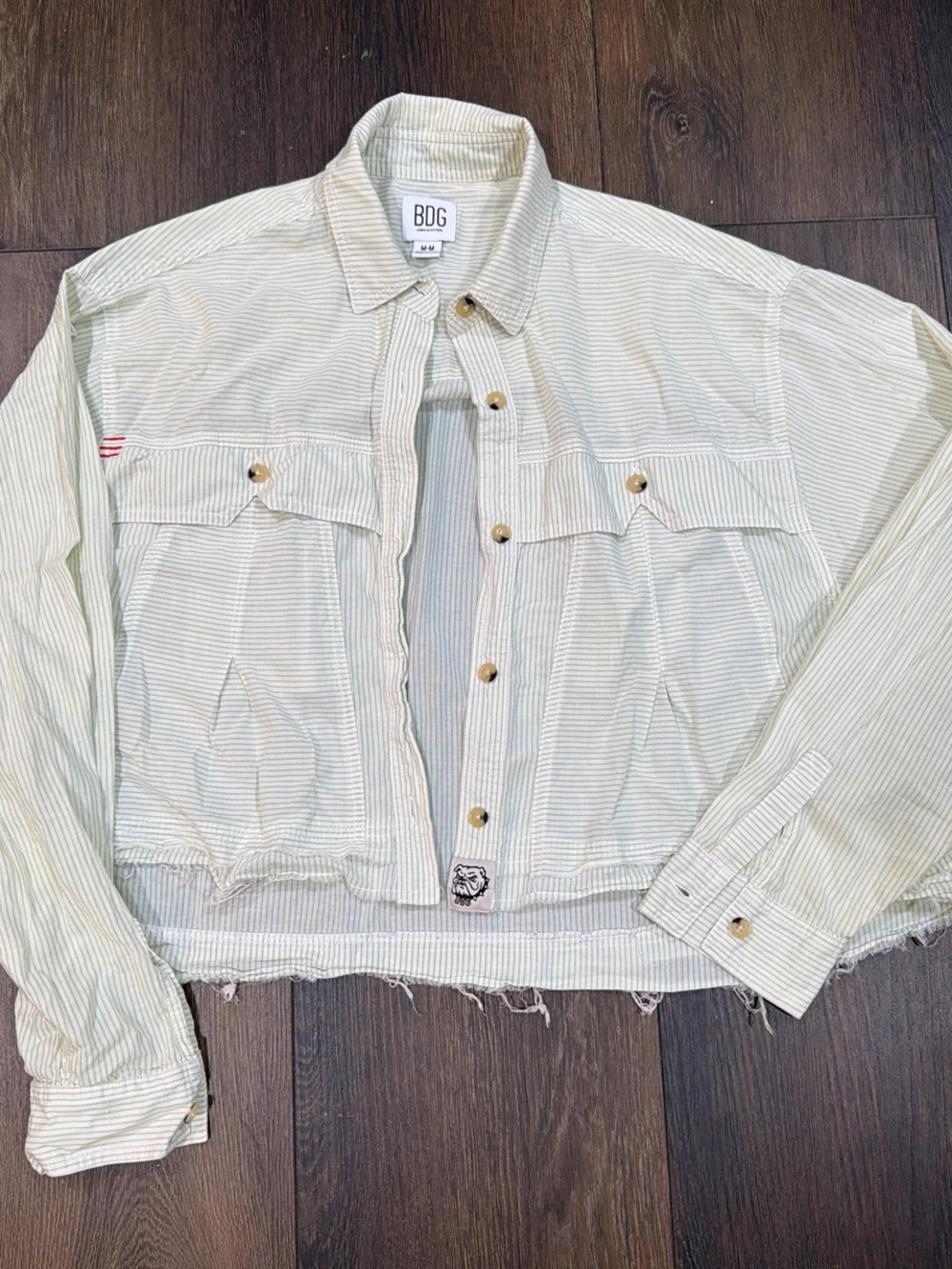 BDG Light Mint and Off-White Striped Button-Up Shirt